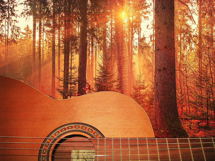 Guitar and Autumn Trees