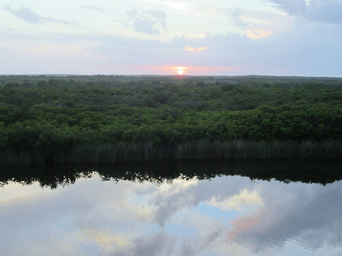 Reflected Sunrise Cape Coral