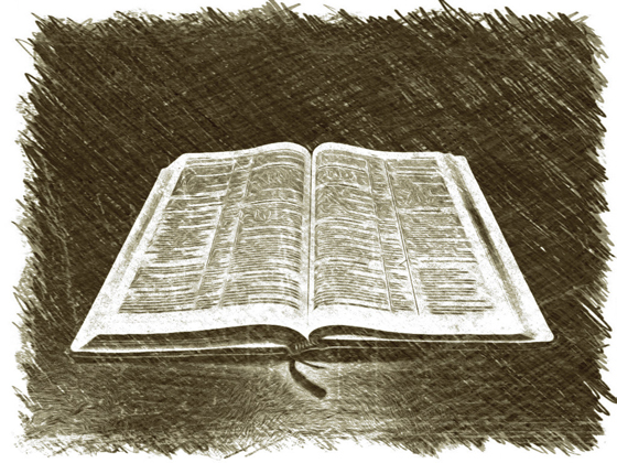 Bible Sketch