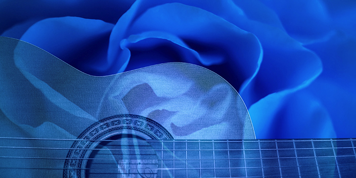 Blue Rose and Guitar