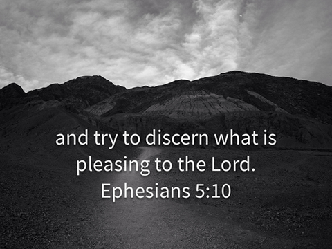 Pleasing to the Lord